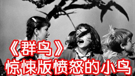 惊悚版愤怒的小鸟，另类的灾难片鼻祖，解说希区柯克《群鸟》