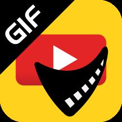 视频转GIF软件AnyMP4 Video 2 GIF Maker1.0.17