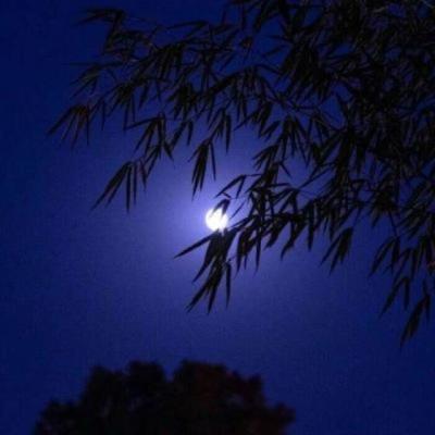 【爱情】爱情反省感悟的句子（爱情感悟句子短句）