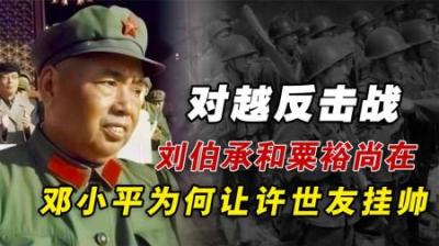 对越反击战，刘伯承和粟裕还在世，邓小平为何坚持让许世友挂帅？