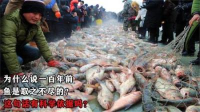为什么说一百年之前，鱼是取之不尽的？这话有科学依据吗？
