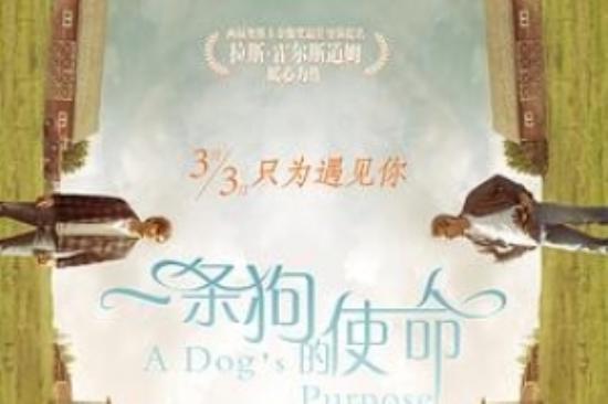 喜剧家庭片《一条狗的使命》电影解说文案