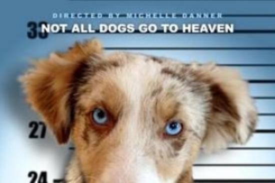 喜剧电影《猎犬强盗》解说文案