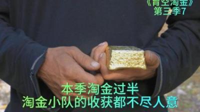 本季淘金工作过半，每个淘金小队的收获都不尽人意，是否会放弃