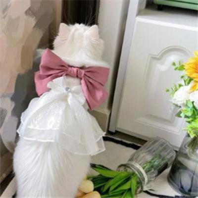 【唯美】飞雪唯美句子（冰霜的句子唯美简短）