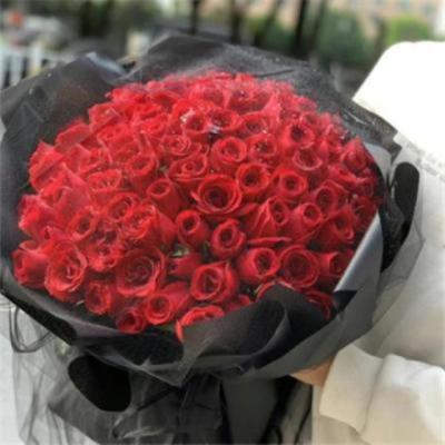 【励志】坚持励志图片2022壁纸（坚持励志的壁纸图片高清）