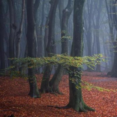 【感悟】垃圾分类深入人心的感悟（垃圾分类感悟与心得）