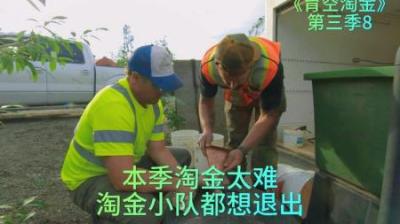 本季的淘金季，所有淘金小队太难了，是要坚持下去还是放弃#淘金