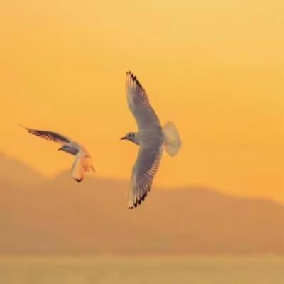 【唯美】心很不安的句子（心里彷徨不安的句子）