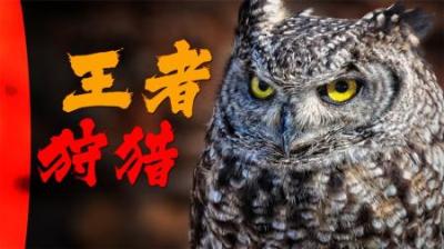 《猎杀之王》全集动漫解说_1