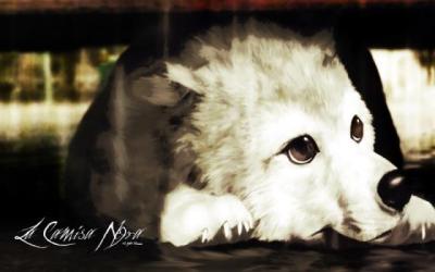 【感悟】关于假期的感悟内容100字左右（假期心得感受怎么写50字）