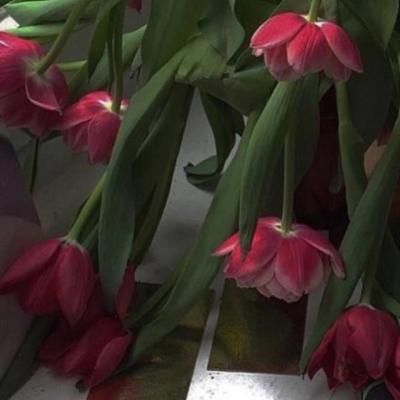 【经典】中秋想着对方的文案（中秋与爱人的文案）