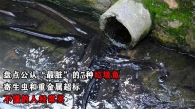 公认“最脏”的7种垃圾鱼，寄生虫和重金属超标，不懂的人经常买