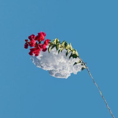 【唯美】女声纯诵读唯美句子（好听的女声独白句子）