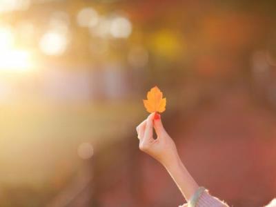 【哲理】傅雷家书赏析句子短（傅雷家书赏析短句大全）