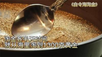 淘金客只花费几个小时，就从海里淘到1300克黄金，跟白捡一样！