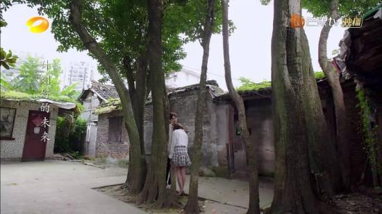 《当天真遇见爱情》_第11集_分集剧情