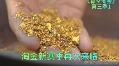 新一季的淘金季来临，四支淘金小队再次齐聚，开始本年度发财梦想