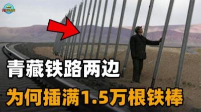 一根造价高达20万元！青藏铁路两边的1.5万根铁棒，到底有啥用？