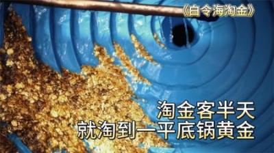 淘金客只用半天时间，就淘到一平底锅的黄金，这简直就是白捡一样