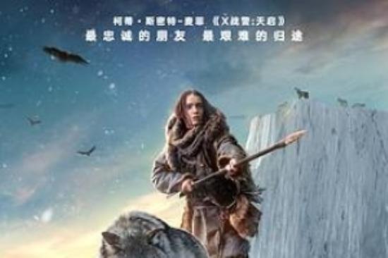 冒险《阿尔法：狼伴归途》电影解说文案