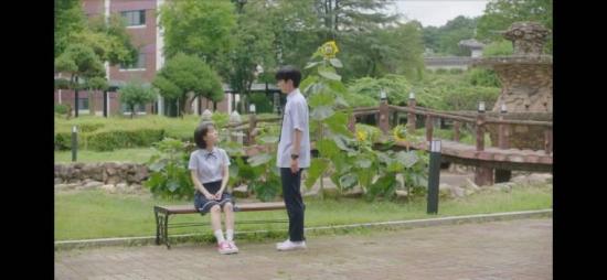 《致美丽的我们》_第12集_分集剧情