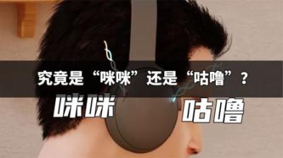 “咪咪”还是“咕噜”，为什么同一个声音不同的人听到的不一样？