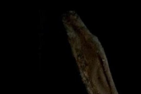 恐怖《危险警告》电影解说文案