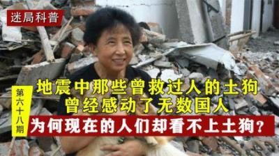 土狗忠诚护主，为什么越来越多的人看不上？它们真有那么差劲吗？