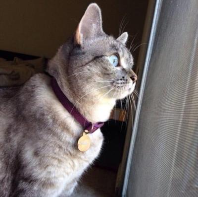 【唯美】对妈妈祝福语简短朋友圈（给***祝福语和简短的句子）