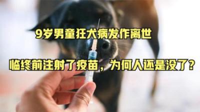 9岁男童狂犬病发作离世，临终前注射了疫苗，为何人还是没了？
