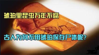 琥珀里的昆虫能万年不腐，古人为何不用琥珀来保存尸体呢？