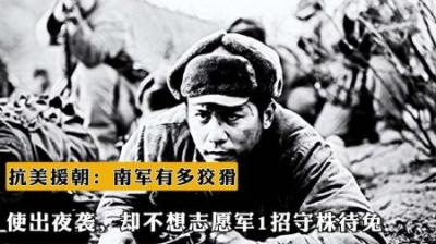 抗美援朝：南军有多狡猾？竟然使出夜袭，不料志愿军1招守株待兔