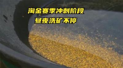 育空淘金：每周的黄金收获不稳定，淘金工作也变成了24小时轮班
