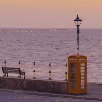 【唯美】描写夏天树木成荫的句子（描写夏天的大树句子）