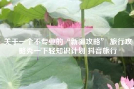 关于一个不专业的“新疆攻略” 旅行攻略秀一下轻知识计划 抖音旅行