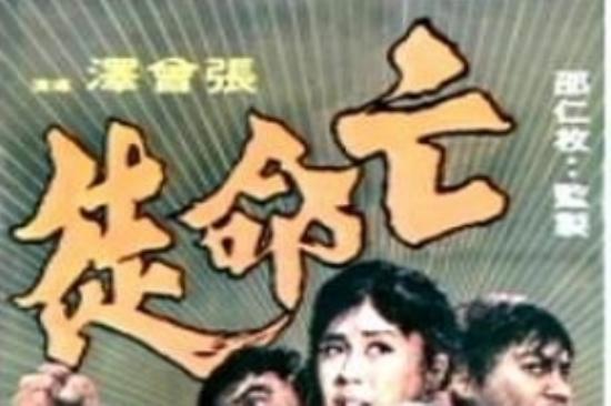 剧情《天生亡命徒》电影解说文案