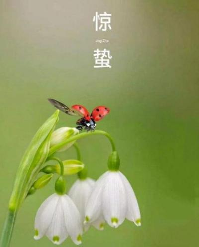 惊蛰节气,这些美食你不能错过!