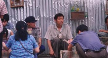 影戏频道1月4日播出葛优主演影戏《卡拉是条狗》
