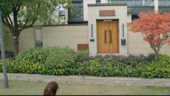 《月光变奏曲》_第4集_分集剧情