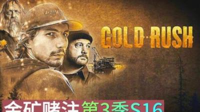 第三季淘金季结束，霍夫曼队总收获，128万美元803盎司黄金 #淘金