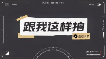 手机拍摄运营实战课 用一部手机拍大片S