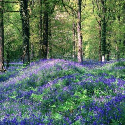 【爱情】这场爱情没有结果的句子（没有结果的爱情悲伤的句子）