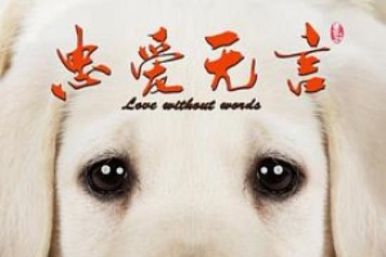 剧情电影《忠爱无言》解说文案 解说素材