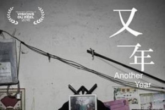 剧情电影《又一年》解说文案（2010年）