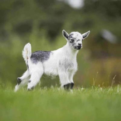 【爱情】爱情没有给自己留后路的句子（爱情给自己一个机会的句子）