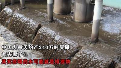 中国人每天约产240万吨屎尿，都去哪了？可能你喝的水就是排泄物