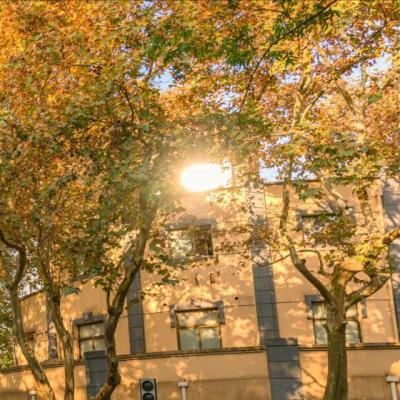 【爱情】爱是需要学习的文案（学习胜过谈恋爱的文案）