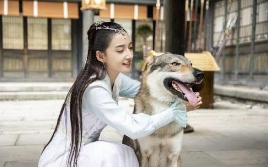 《玲珑狼心》_第14集_分集剧情