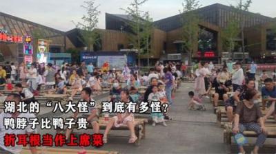 湖北的“八大怪”到底有多怪？鸭脖子比鸭子贵，折耳根当作上席菜